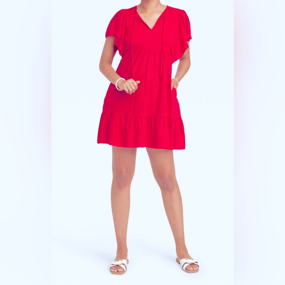 Women’s Knox Rose Ruffle Short Sleeved A-line dress from Target. Size Large.